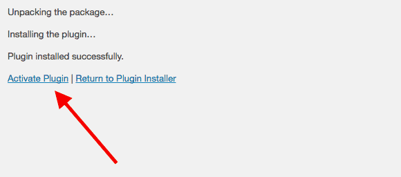 activate plugin