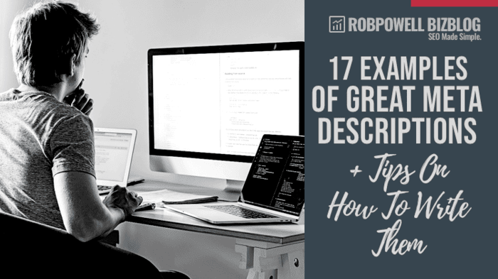 17 Examples of Great Meta Descriptions meta description examples