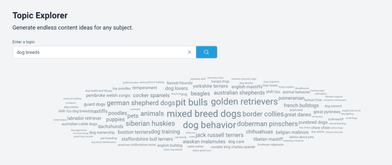 SE Ranking topic explorer word cloud