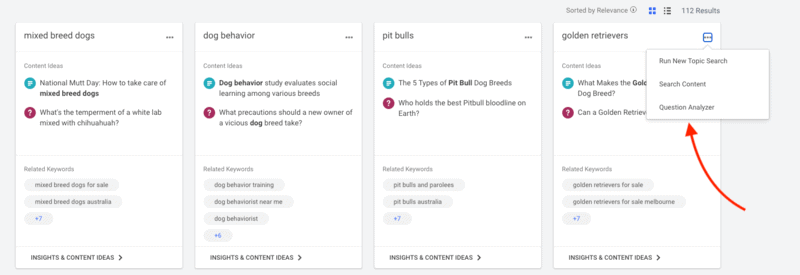 Buzzsumo's question analyzer